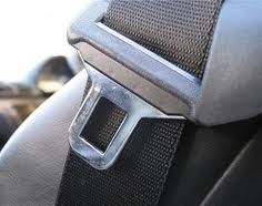 beackseat belt.jpg